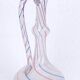Aiguière en verre soufflé - murano - art nouveau - époque : début xxème siècle