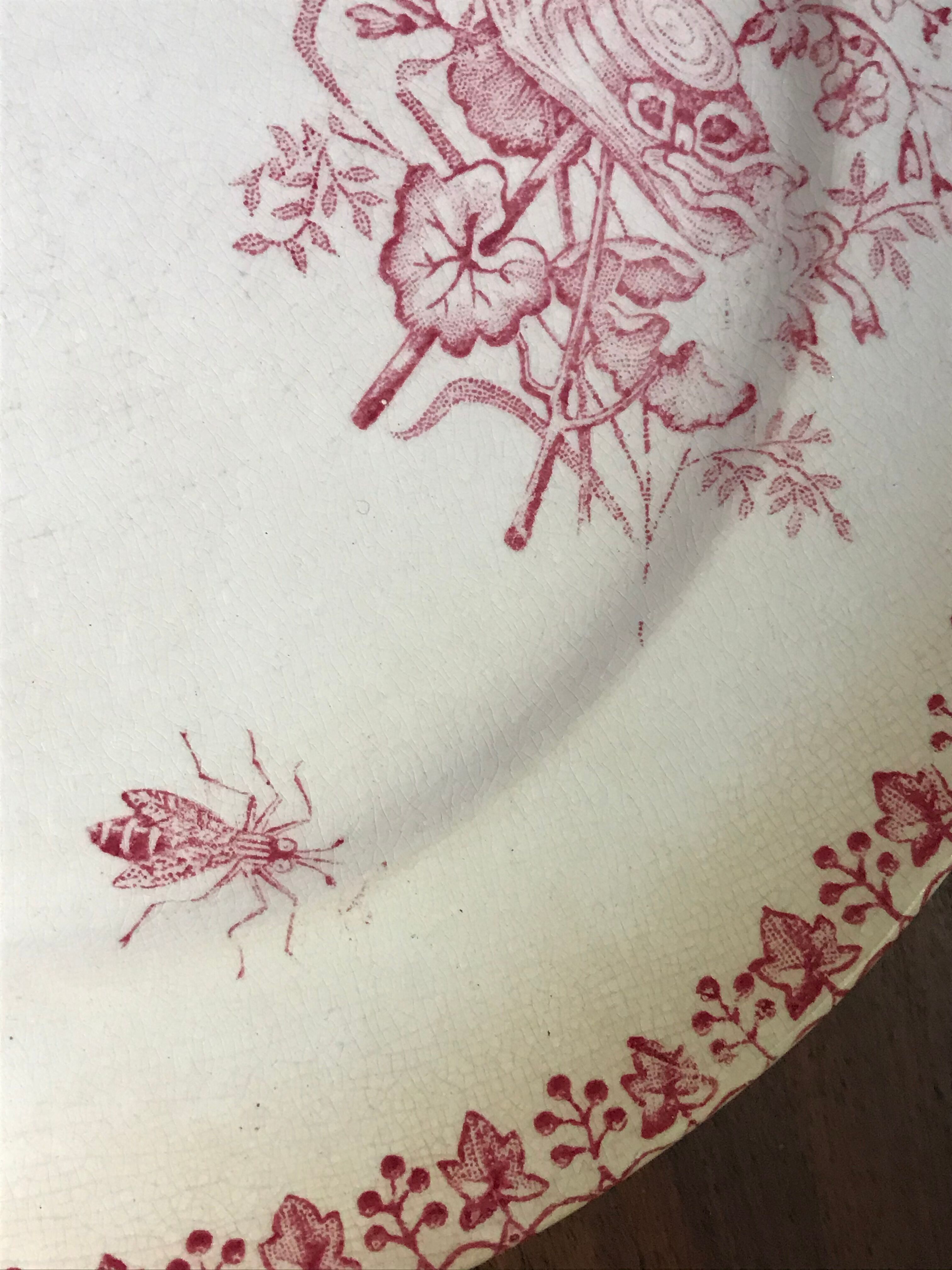 Lot of 9 plates iron earth circa 1900