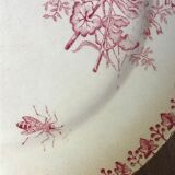 Lot of 9 plates iron earth circa 1900