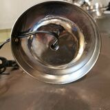 Nickel silver palm lamp