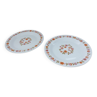 2 assiettes arcopal