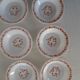 6 plates orange flowers model scania arcopal france vintage