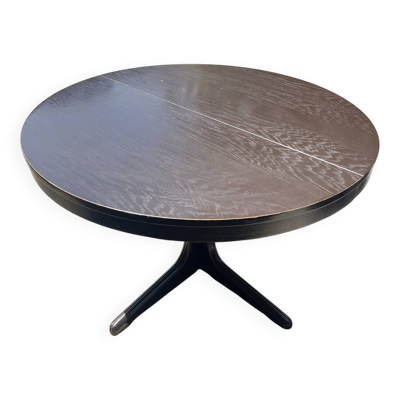 Table ronde Baumann