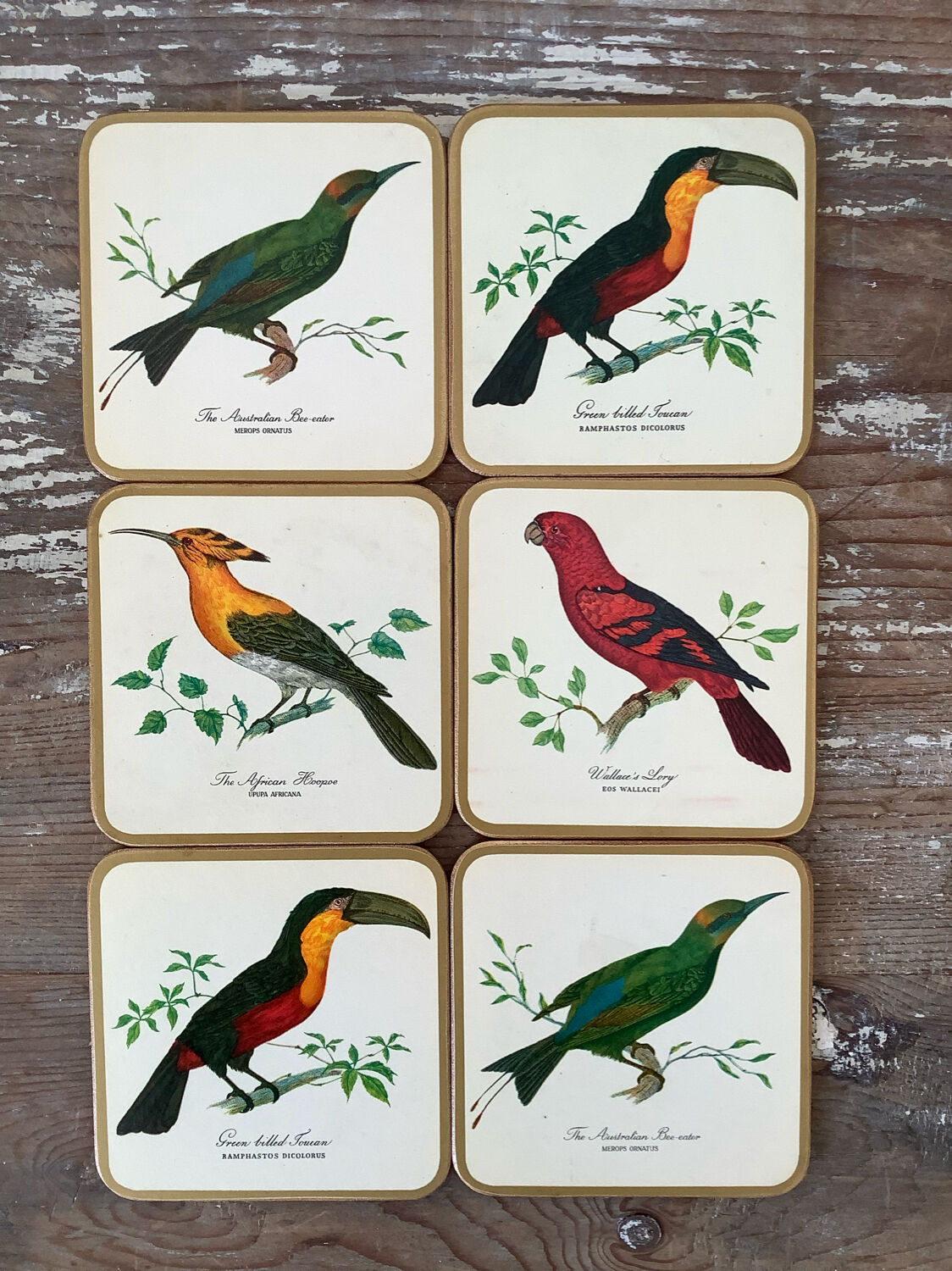 Box of 6 coasters bird motif