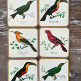 Box of 6 coasters bird motif