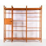 Pine bookshelf library