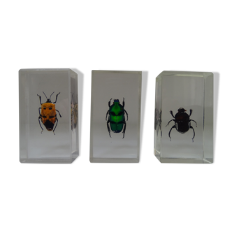 Lot 3 insects under inclusions vintage resins