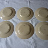 6 setting fruit gien earthenware dessert plates