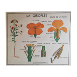 Old Rossignol school poster