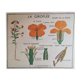Affiche scolaire ancienne Rossignol
