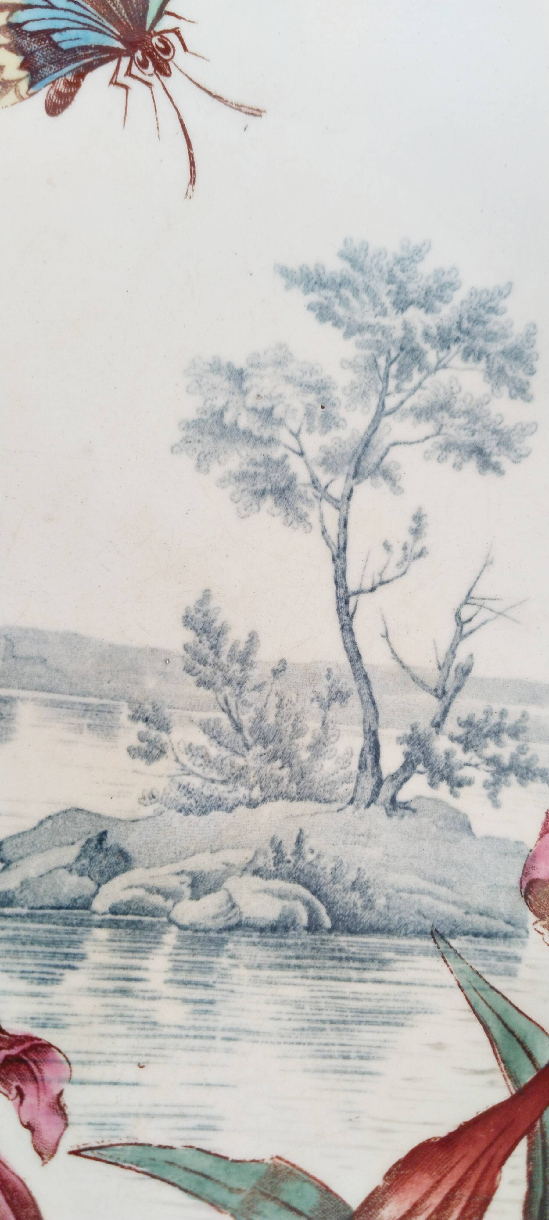 Fruit bowl with polychrome design in Lunéville earthenware