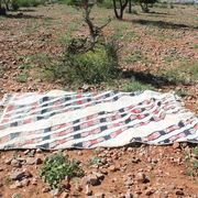 Berber Moroccan rug 250cm x 150cm