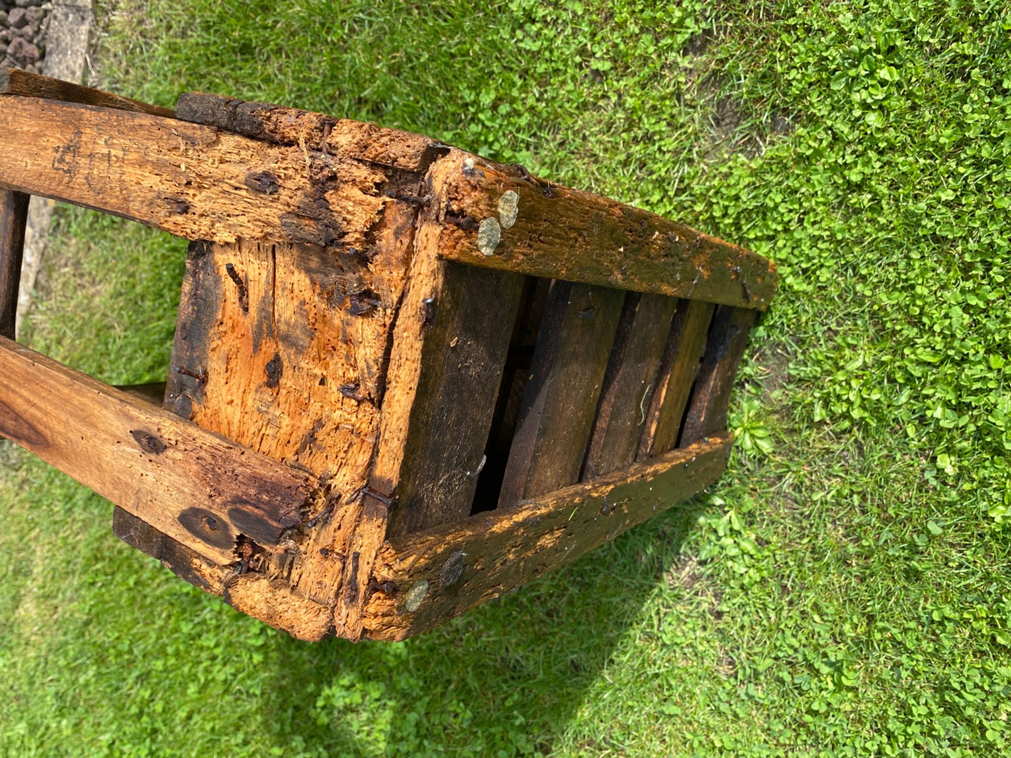 Old bottle rack