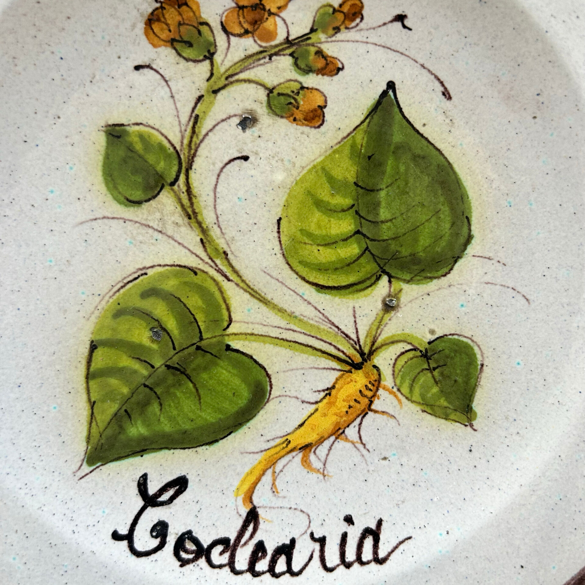 Collection of 3 botanical dishes made in Italy.