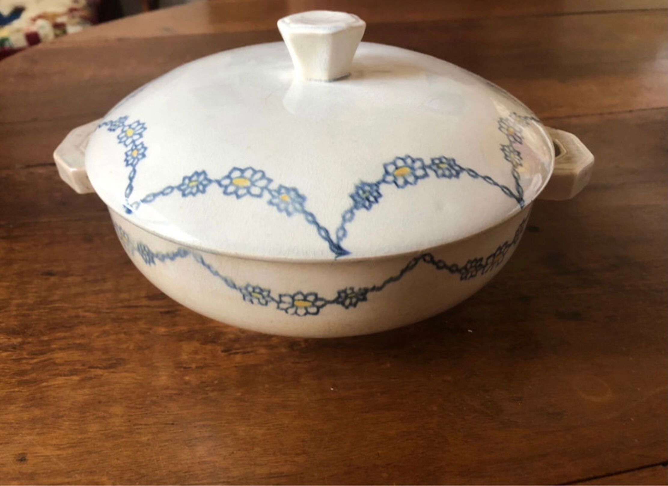 Vegetable dish with lid