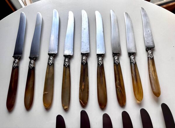18 Wiskemann table knifes in horn