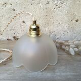 Pair of vintage flower pendants in frosted glass