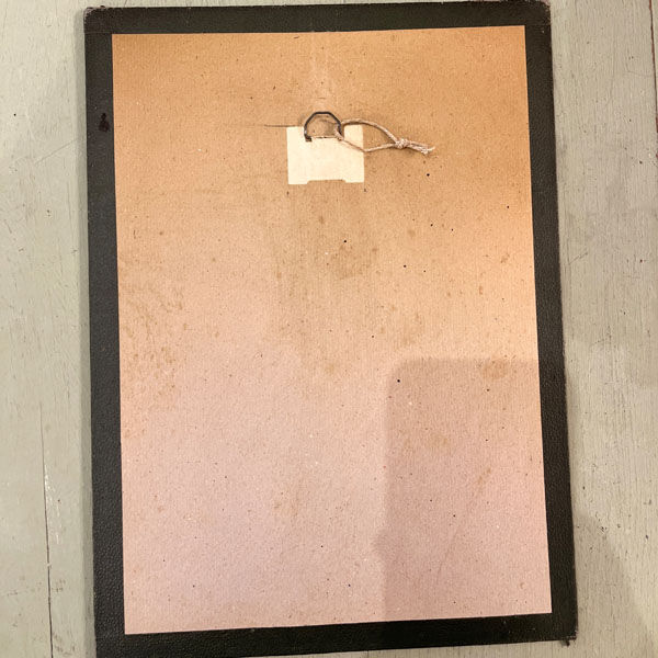 Old framed botanical board