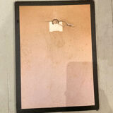 Old framed botanical board