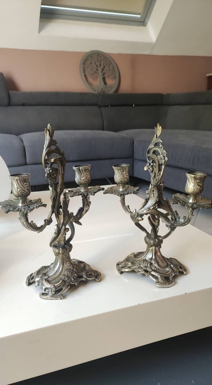 Pair of Candelabra in Louis XV/Rocaille Style, 2 lights. In gilded bronze, 19th century.