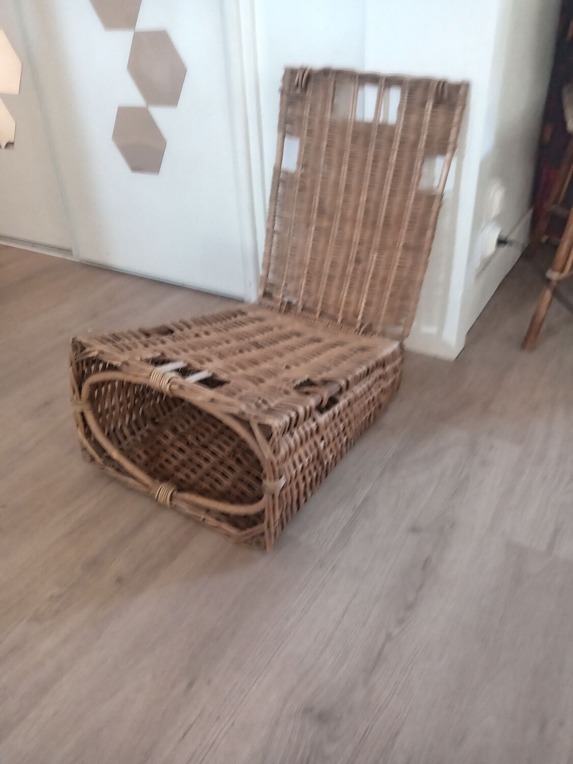 Vintage rattan beach chair