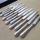 Coffret de 12 couteaux de table en acier inoxydable monobloc Guy Degrenne