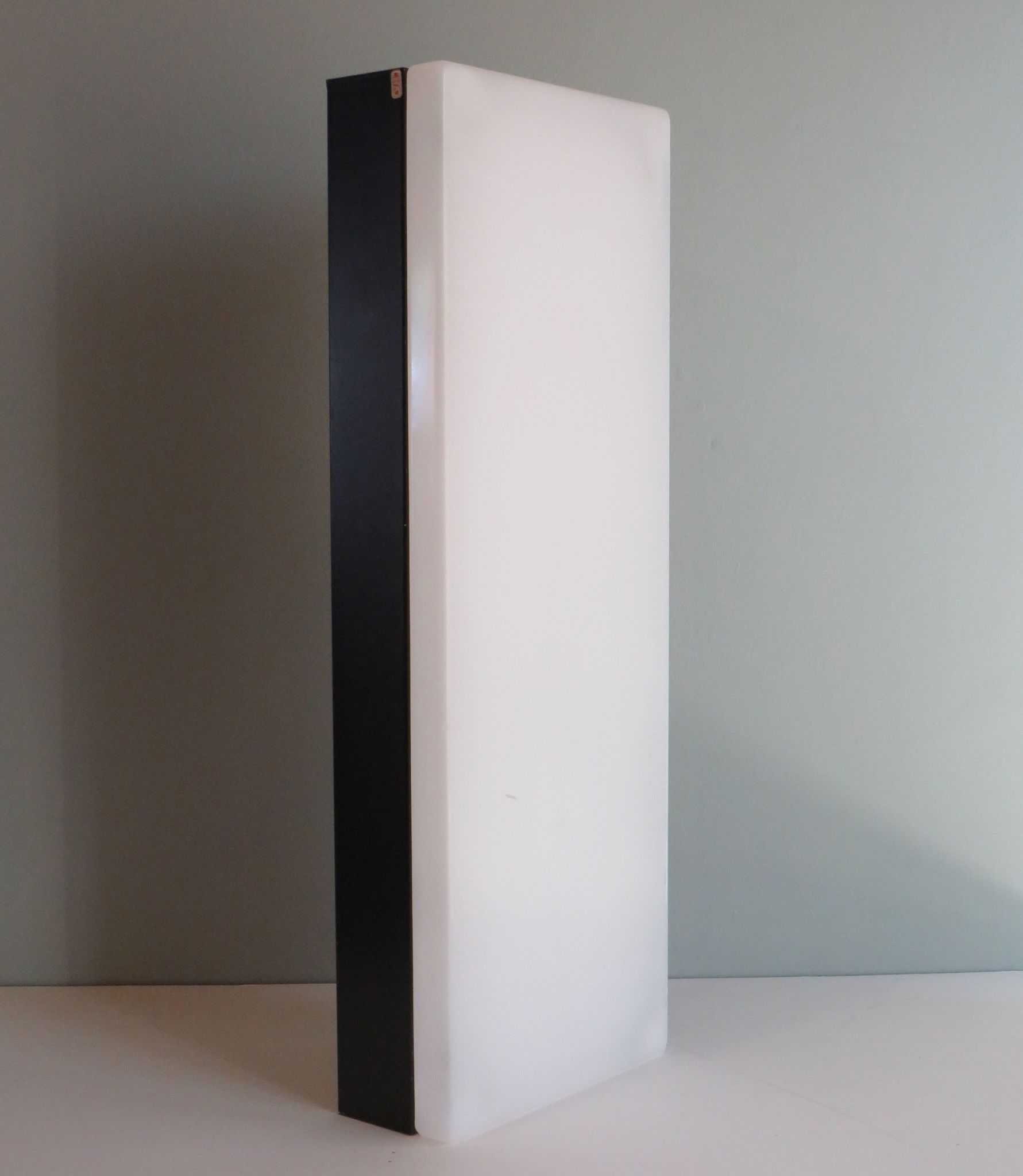 Rectangular ceiling or wall light by Van Haute Belgique, 1960s