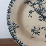 Old hollow plate Gien Terre de Fer Peafowl