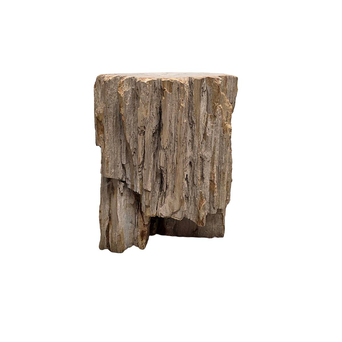 Petrified Wood As A Side Table, more than 50 million years old