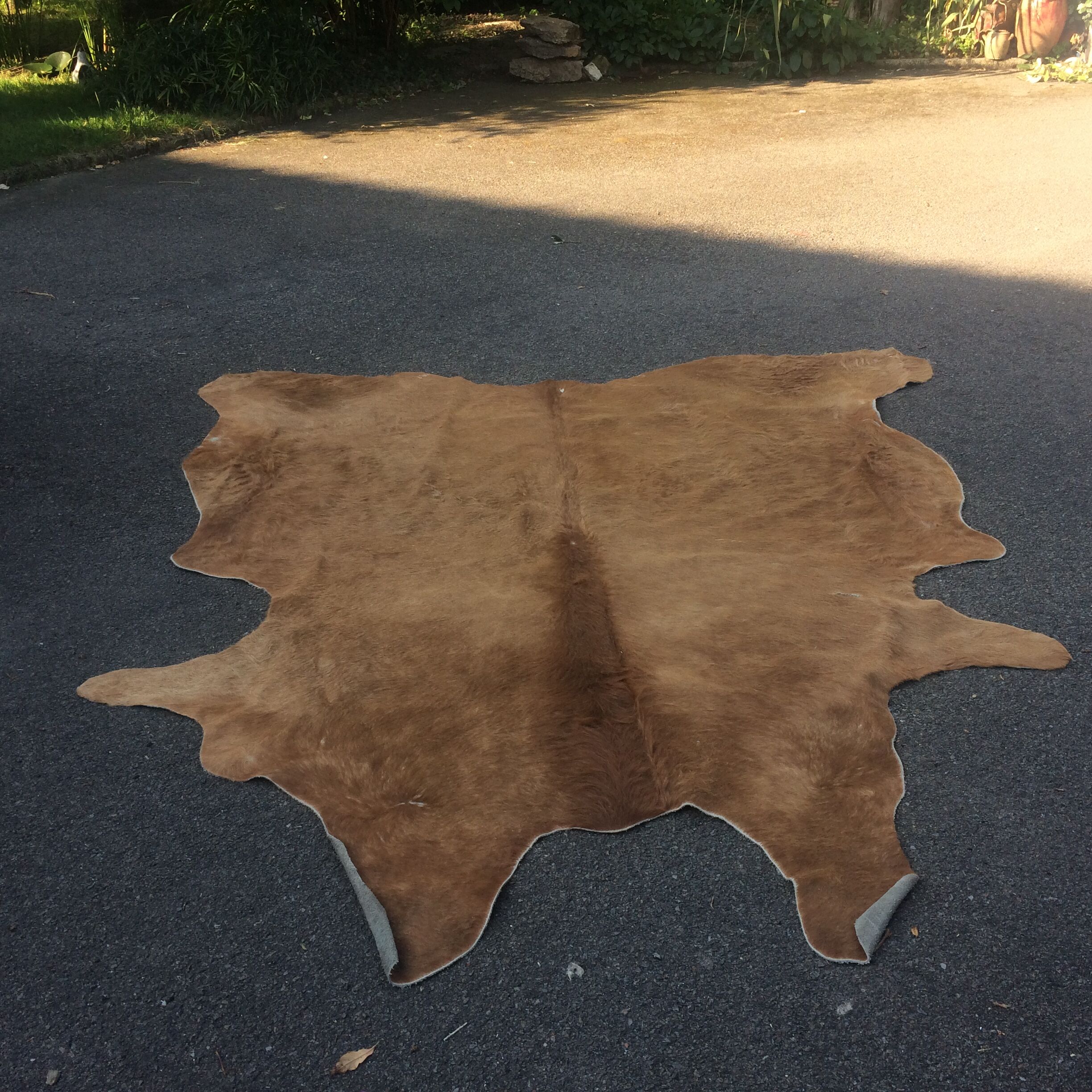 Cowhide leather, color brown glazed