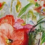 Field poppy