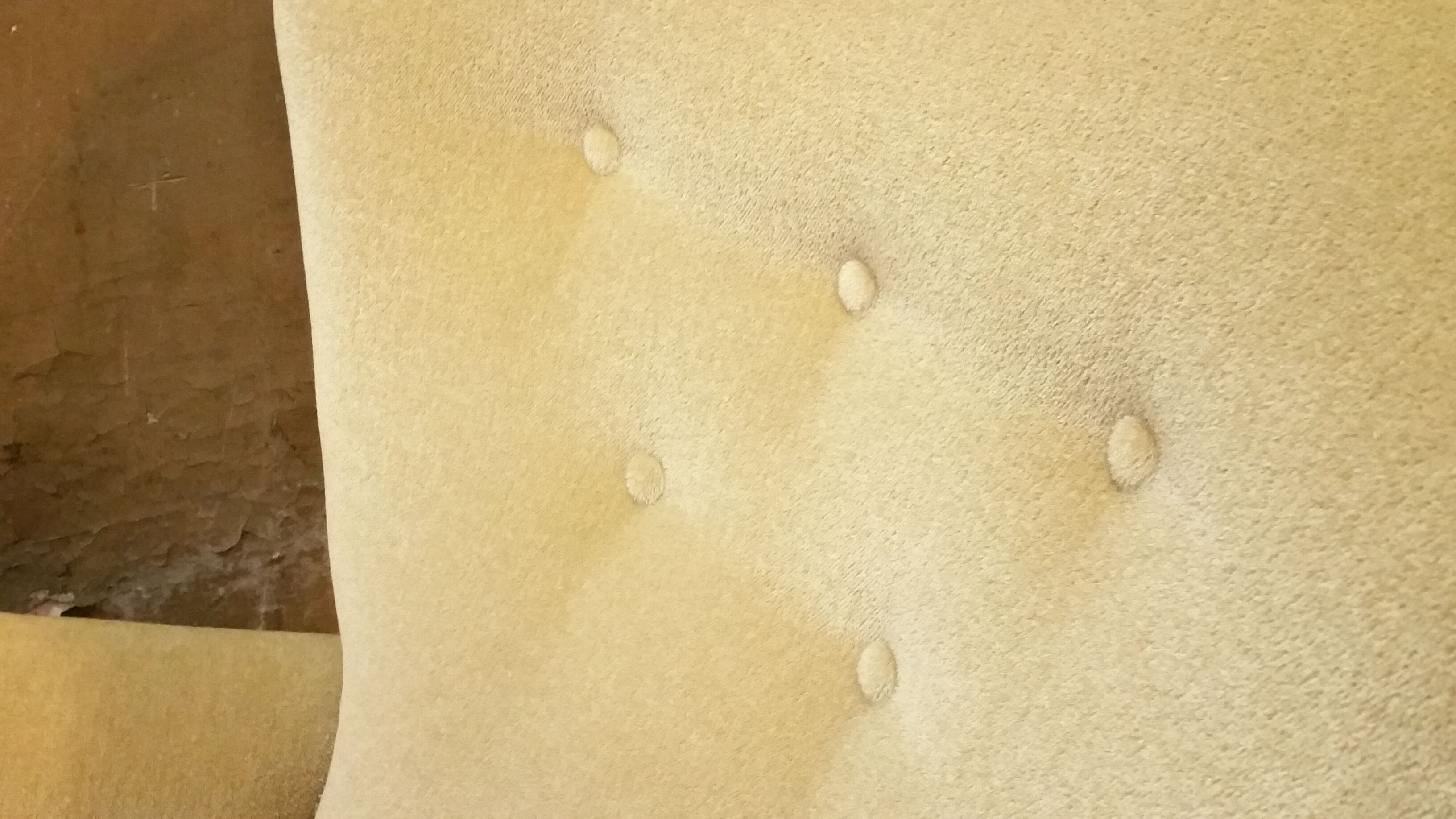 Rare year 50 Wing chair Bergère Chair of Ernst Max Jahn