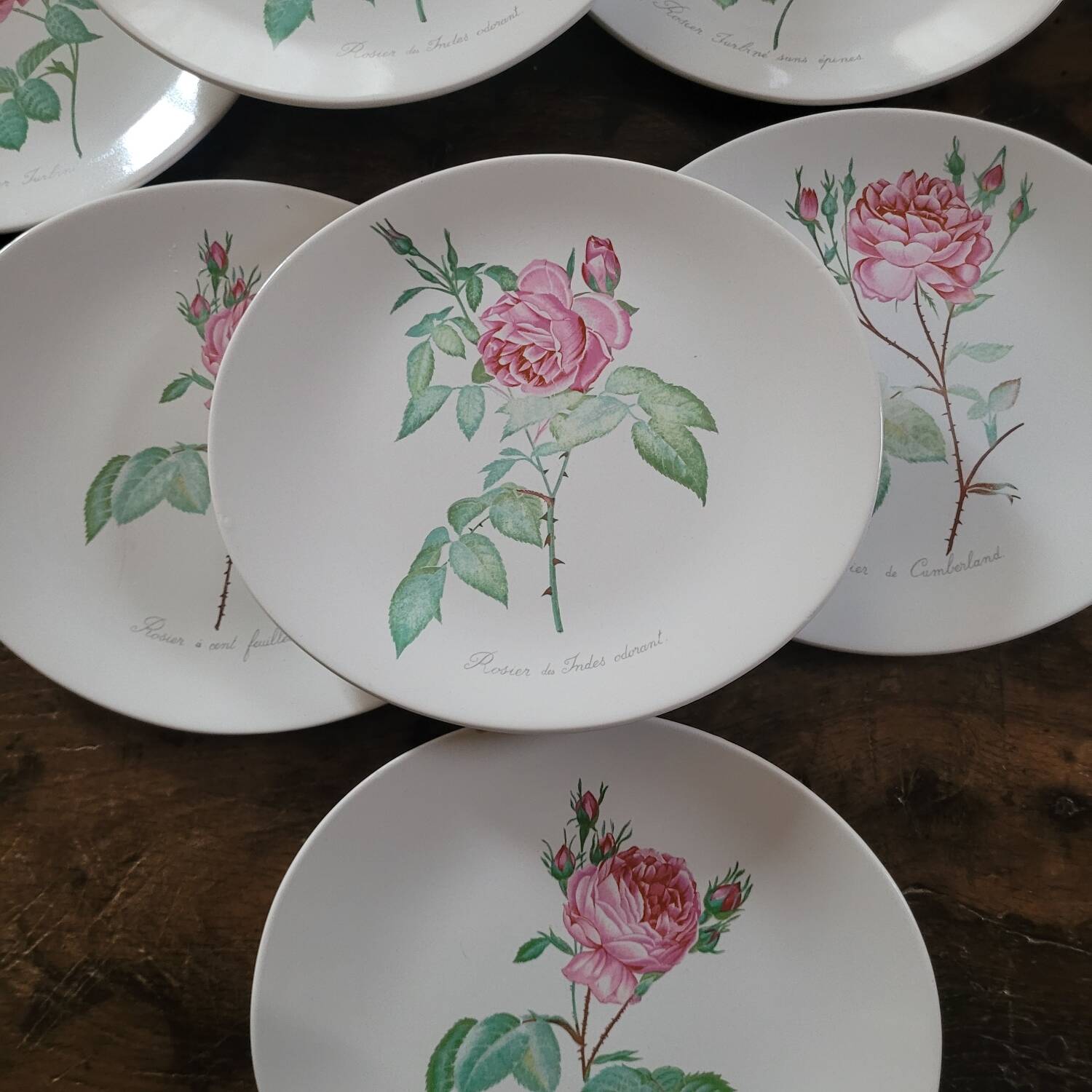 8 oval plates Salins – 1970s – Botanical roses