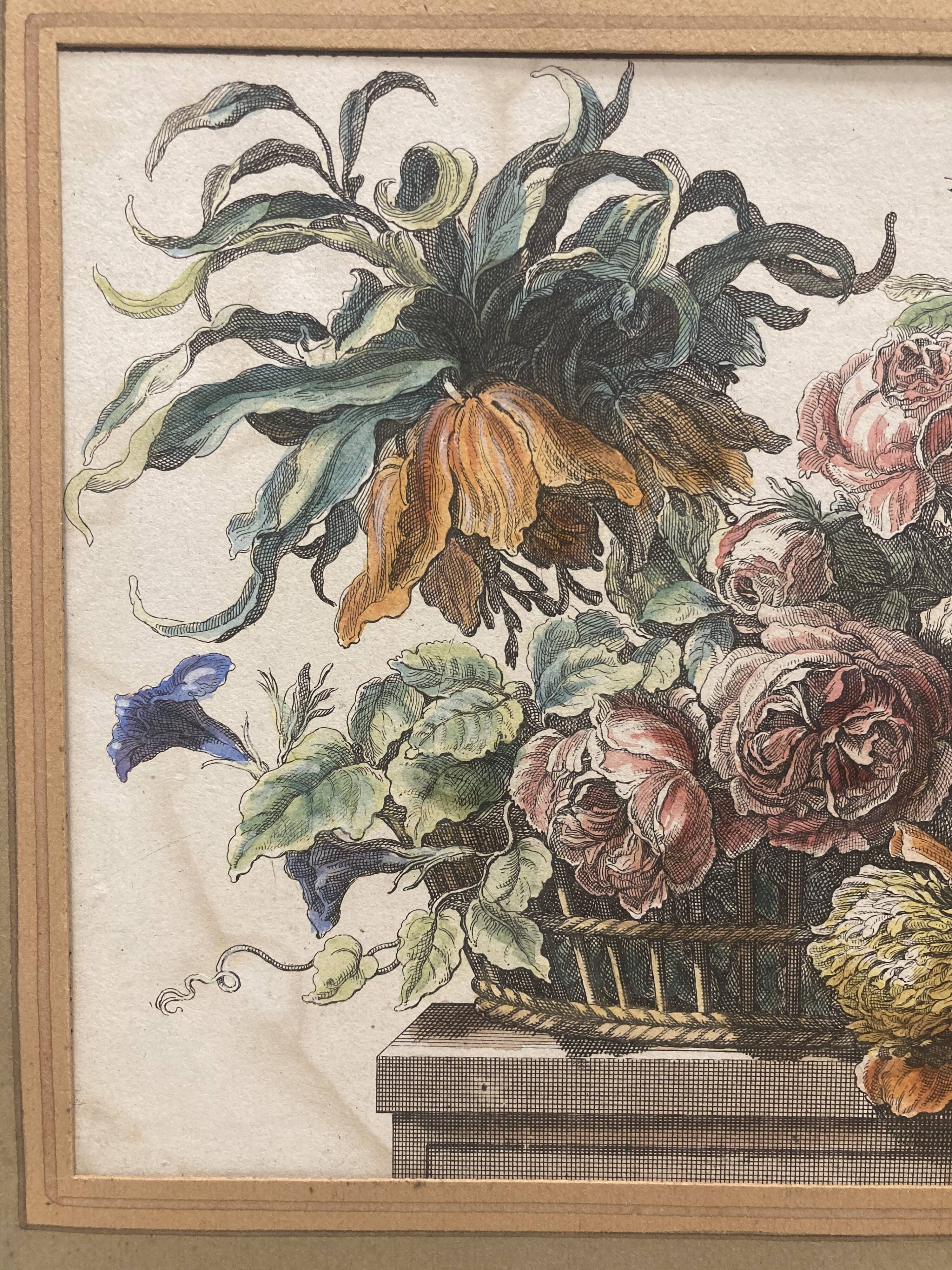 Pair of framed botanical boards