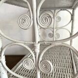 Peacok Rattan Shelf