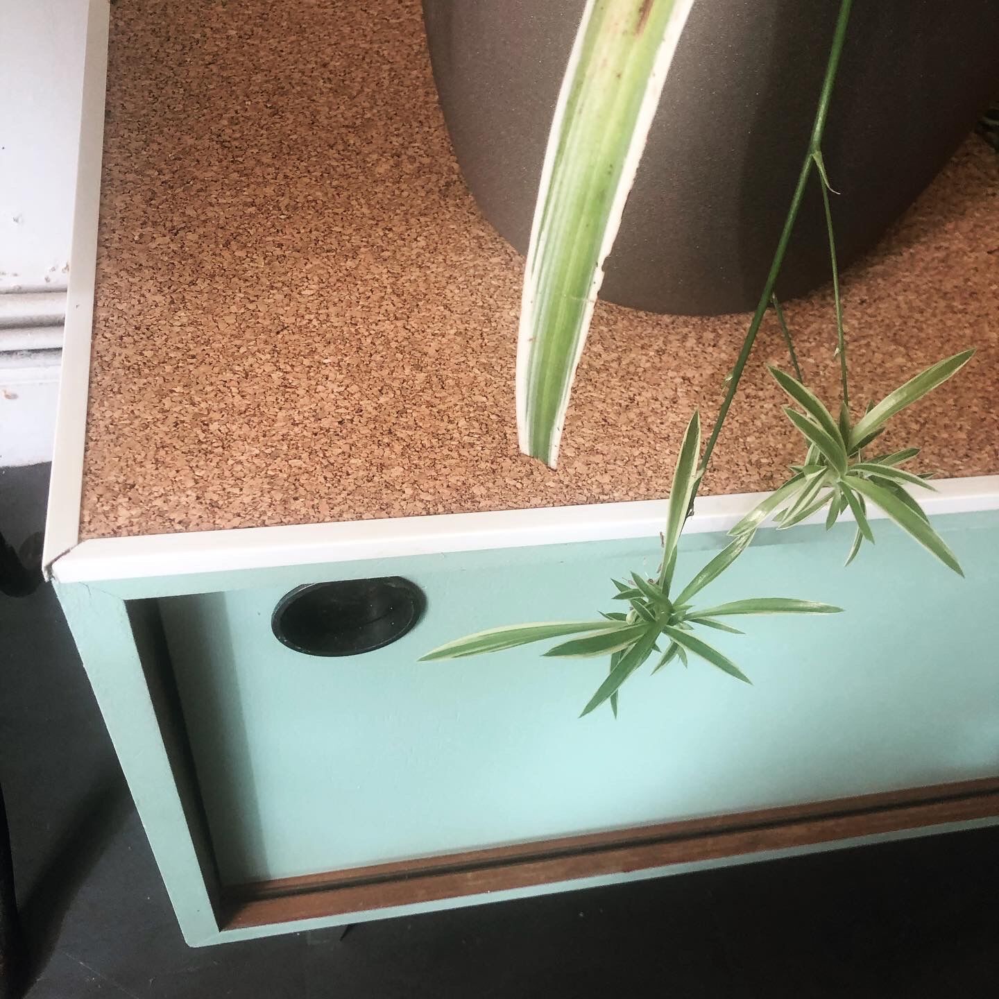 Green wooden row