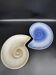 shell plates