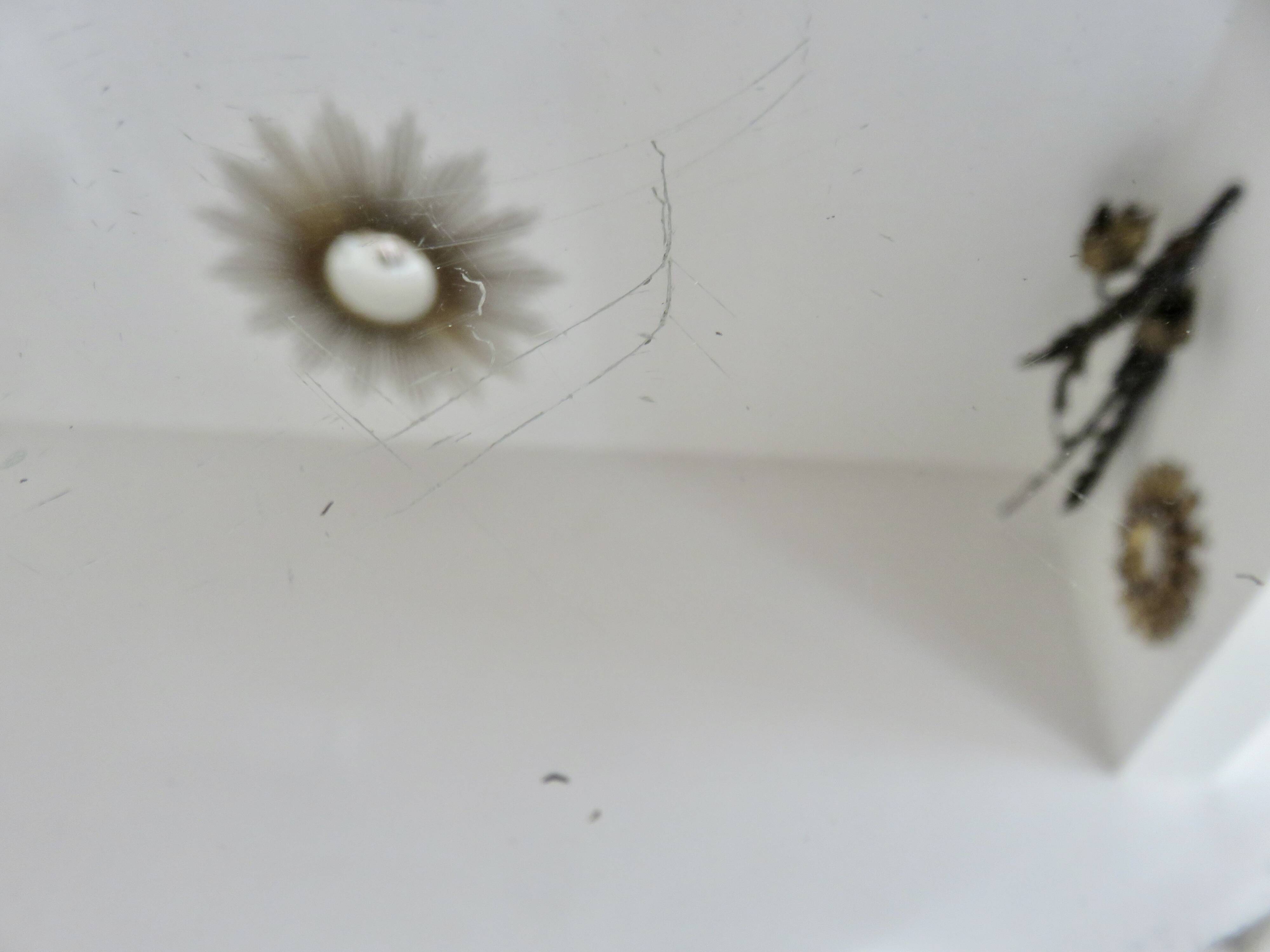 Miroir octogonal biseauté, années 40-50