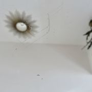 Miroir octogonal biseauté, années 40-50