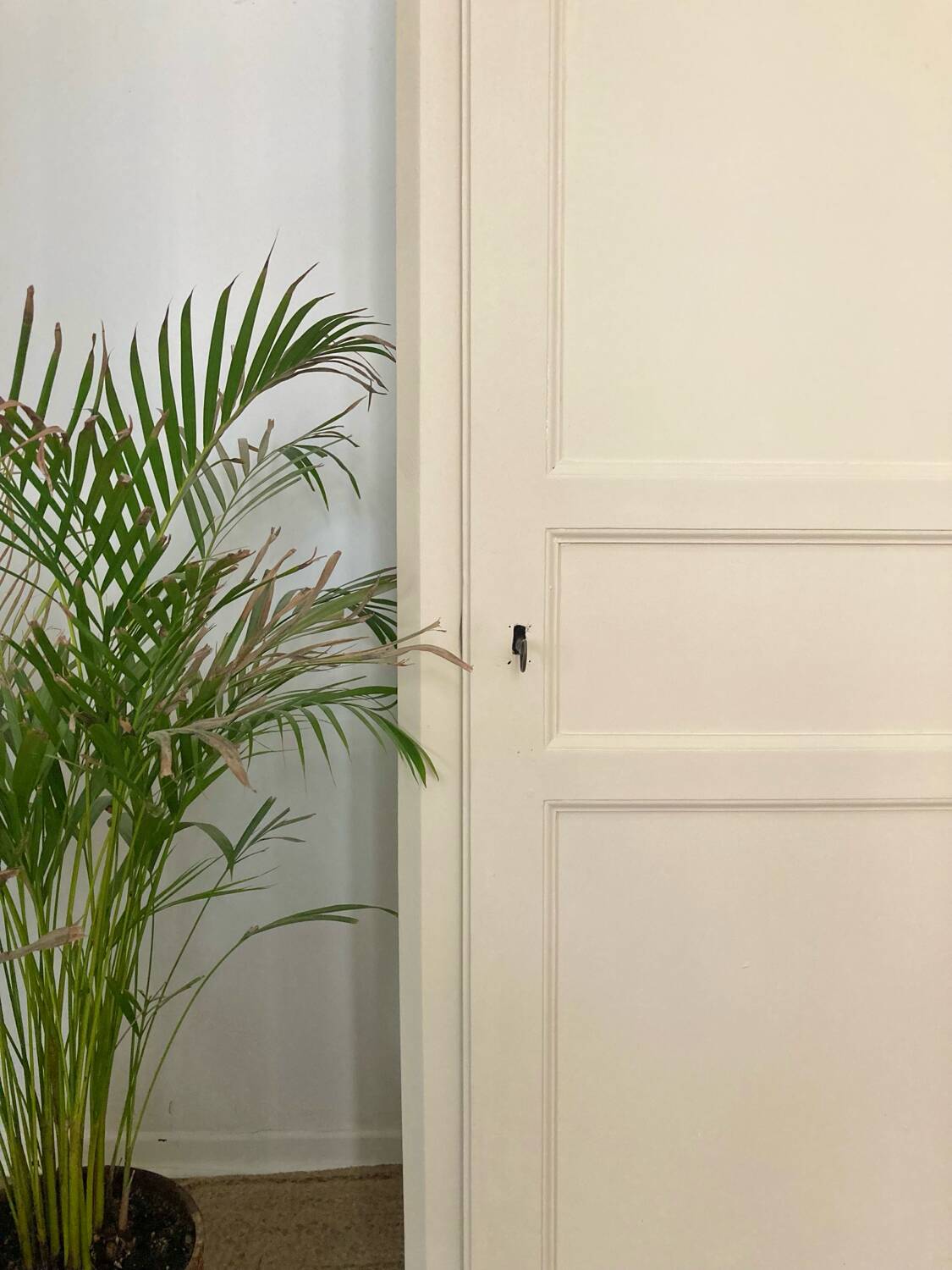 Parisian Bonnetiere wardrobe