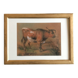 Une vache, pastel