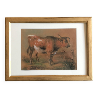 A cow, pastel