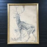 Drawing signed deer in charcoal