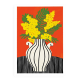 THE MIMOSA - A4 illustration