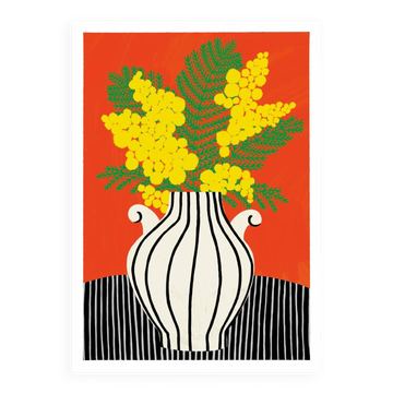 THE MIMOSA - A4 illustration