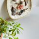 Decorative Shells Plateau Vintage