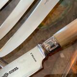 12 table knives. Horn handle