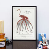 Chimera lithograph animal engraving - the pink flamoulpe