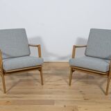 Model 300-139 Armchairs from Swarzędz Factory, 1960s, Set of 2