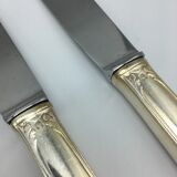 12 silver metal knives.